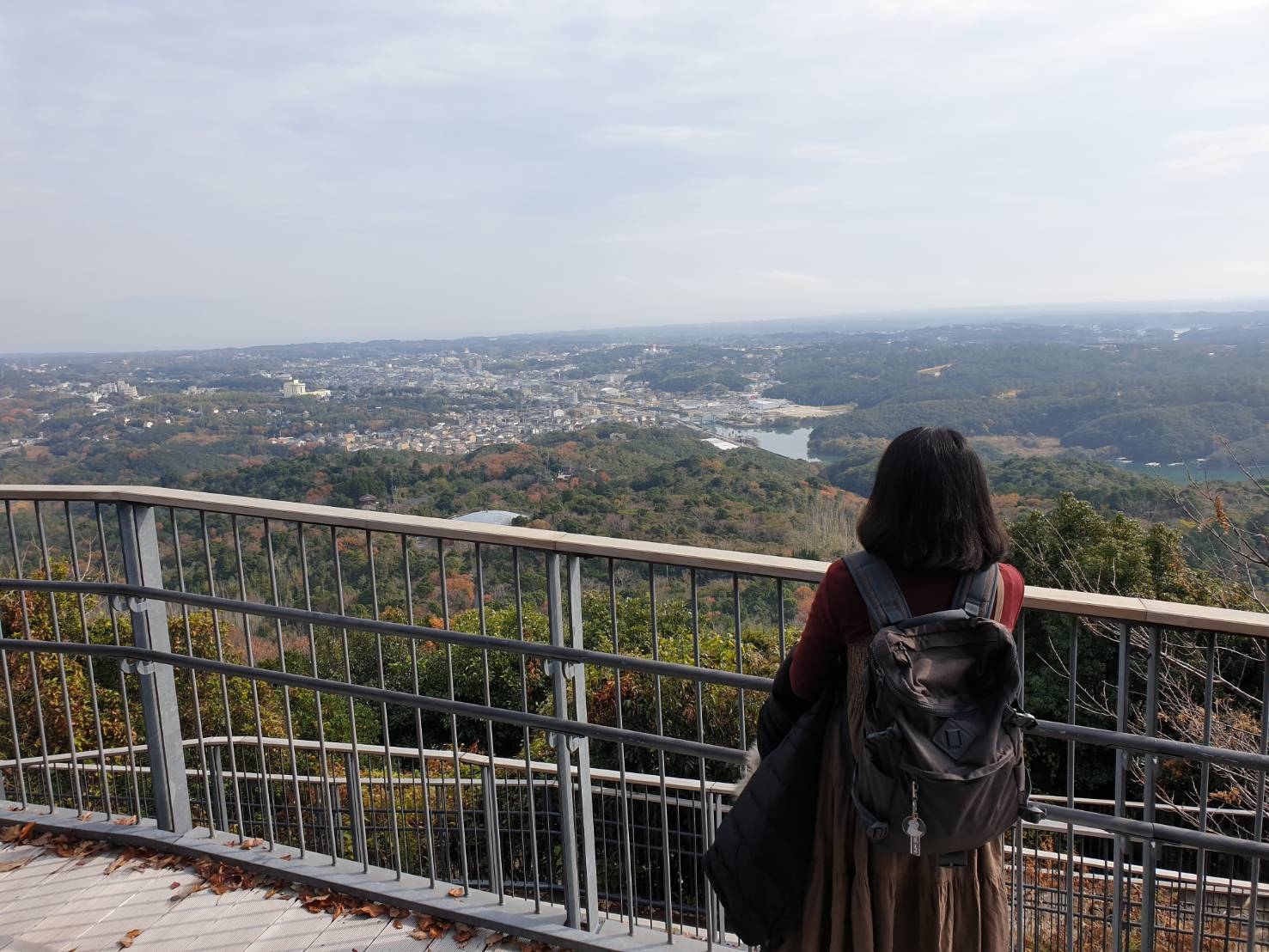 4. Yokoyama Observat 200211 0002