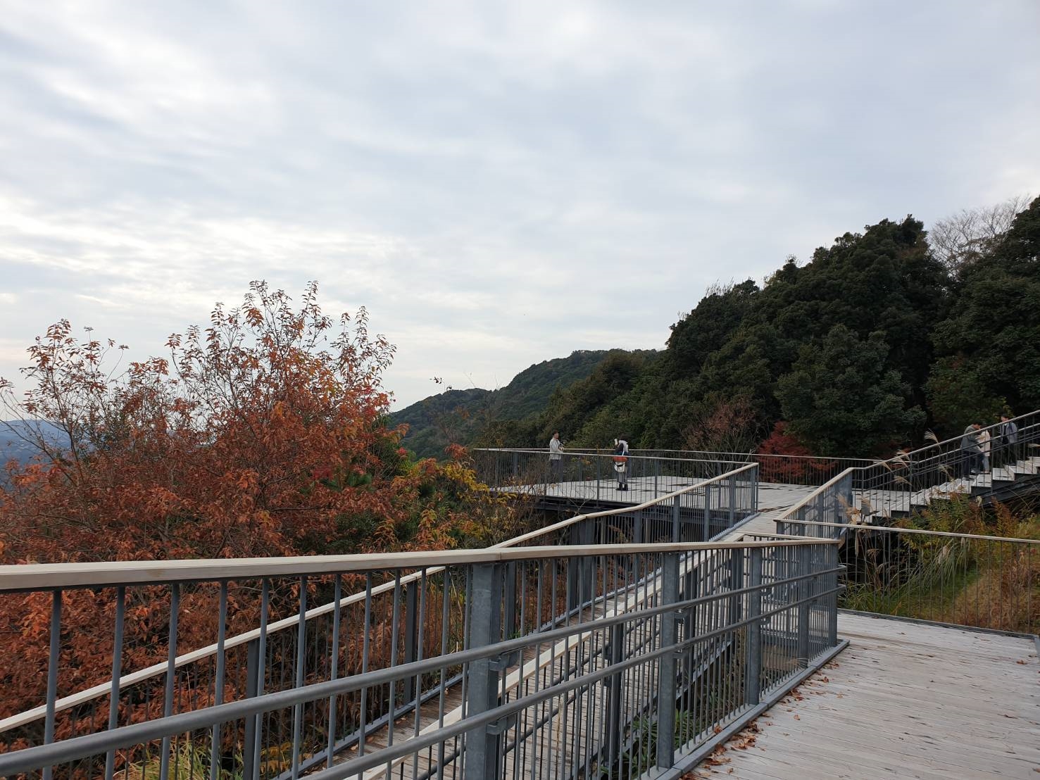 4. Yokoyama Observat 200211 0005