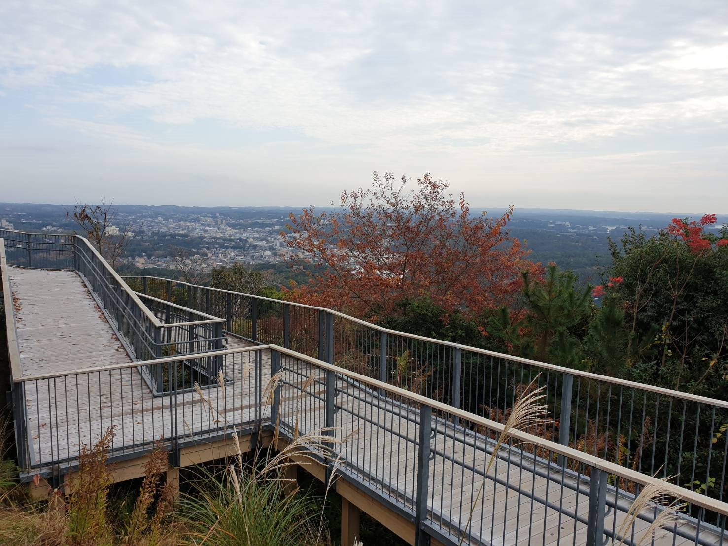 4. Yokoyama Observat 200211 0006