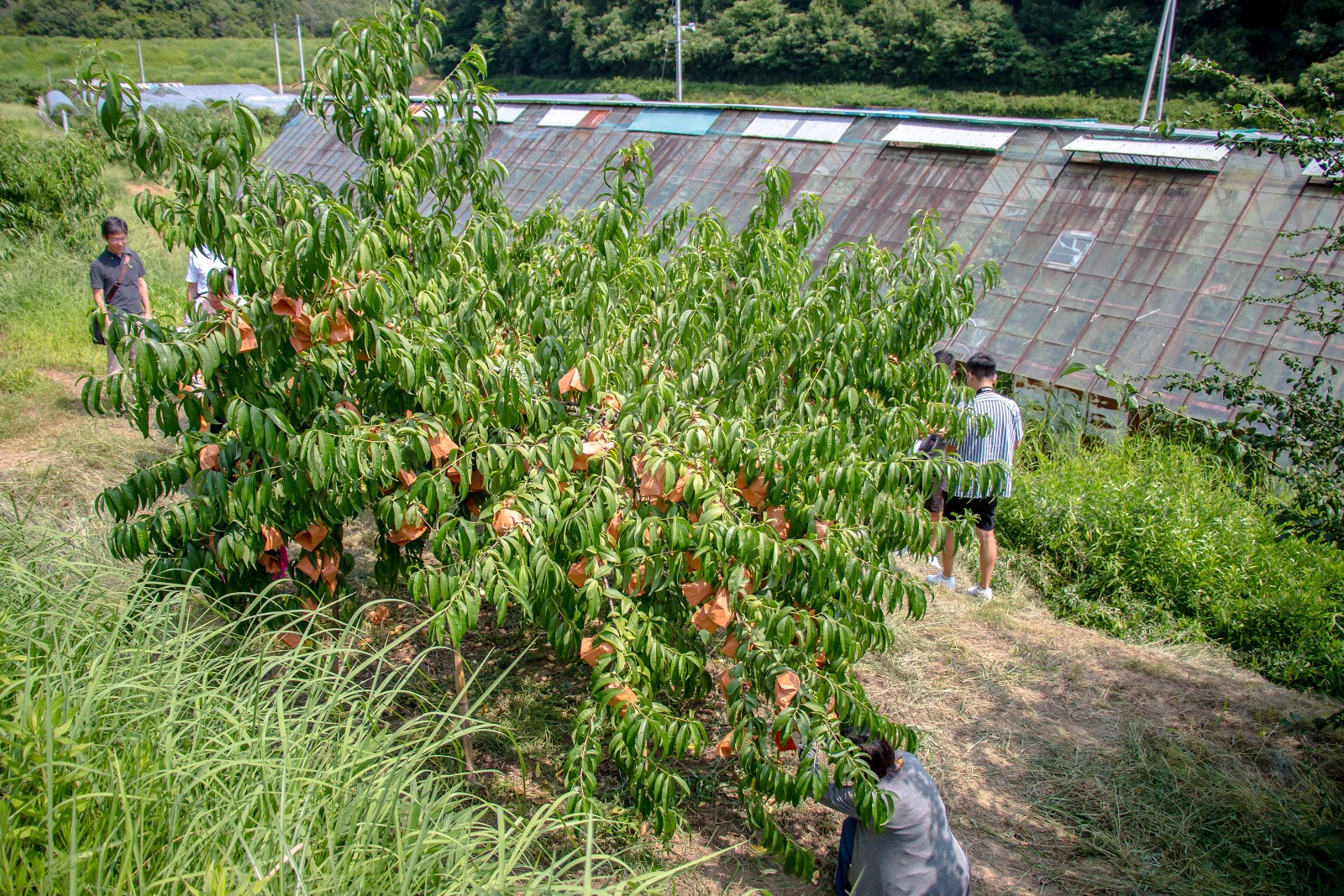 Chugoku Style Ep3 09