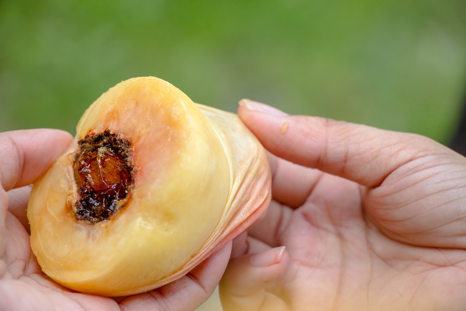 Chugoku Style Ep3 13