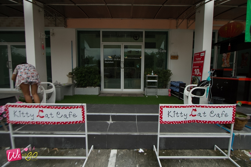Kitty Cat Caf 02