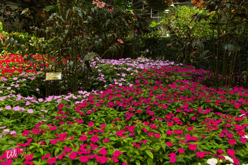 Nagoya Gifu Mie Ep2 104