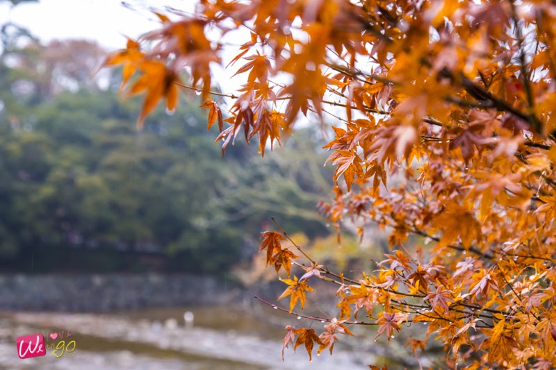 Nagoya Gifu Mie Ep2 44