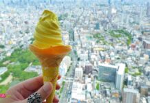 หนีรัก พักชิล Summer in Osaka