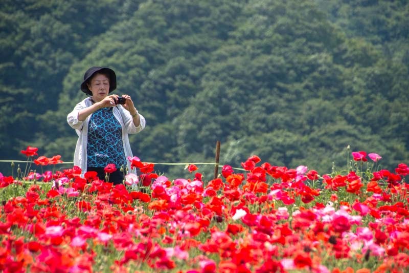 Why Tour In Saitama Ep2 24