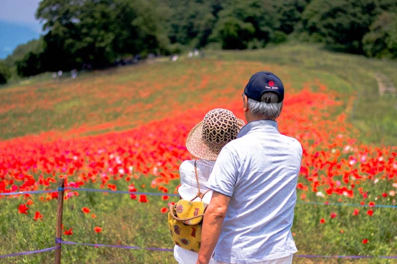 Why Tour In Saitama Ep2 25