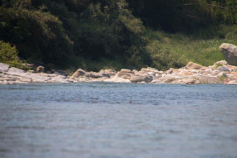 Why Tour In Saitama Ep2 35