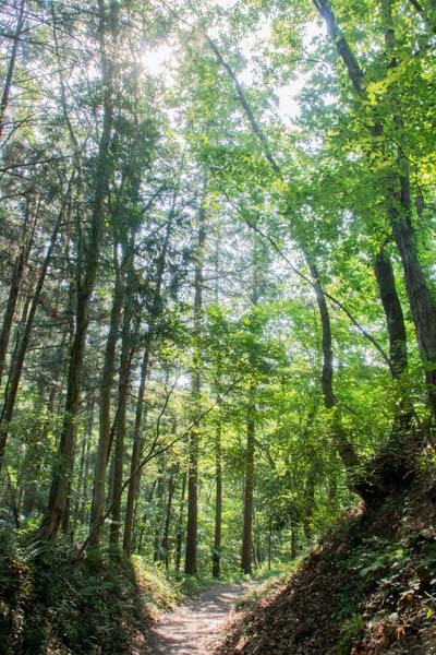 Why Tour In Saitama Ep2 47