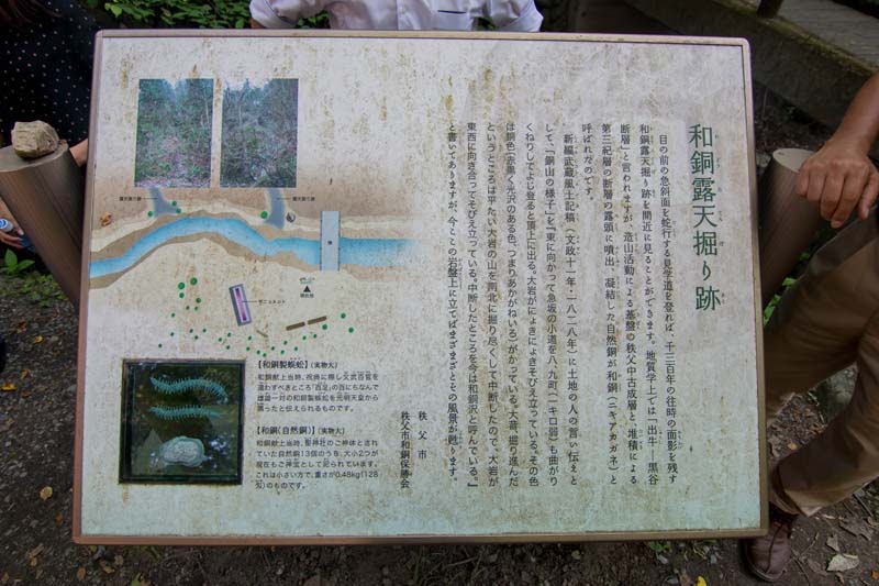 Why Tour In Saitama Ep2 48