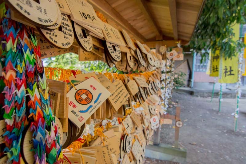 Why Tour In Saitama Ep2 53