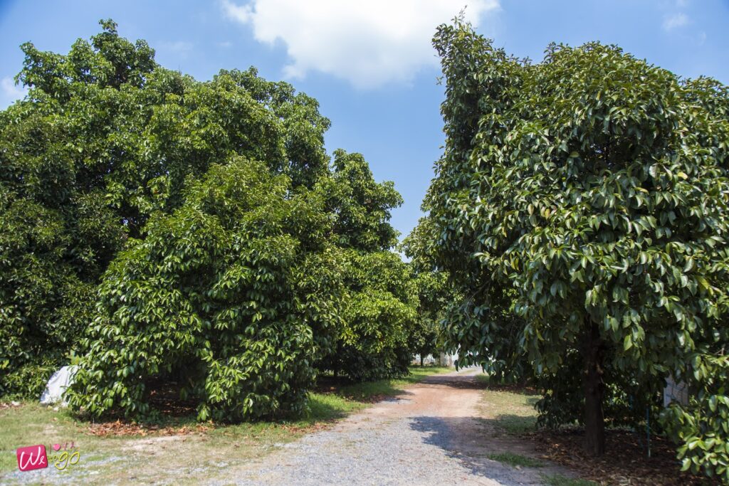 2 Days 1 Night In Prachinburi 36