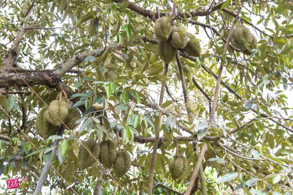 2 Days 1 Night In Prachinburi 68