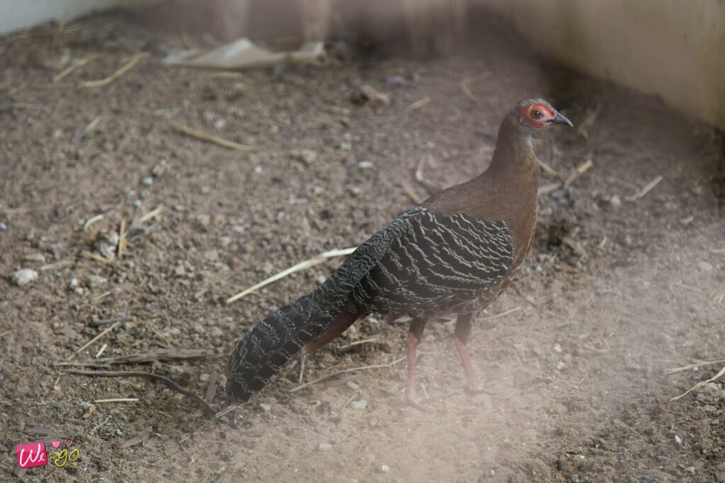 2 Days 1 Night In Prachinburi 83