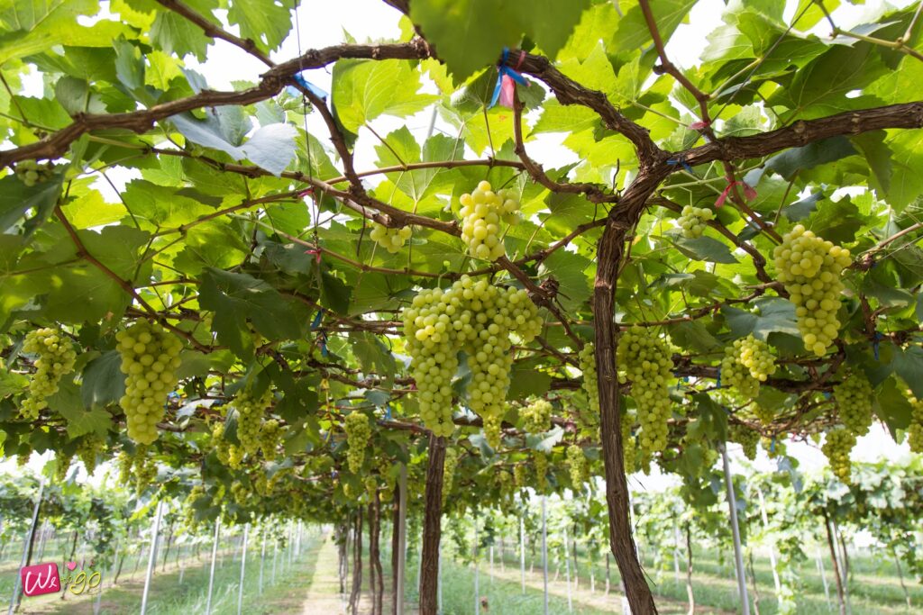 2 Days 1 Night In Prachinburi 88