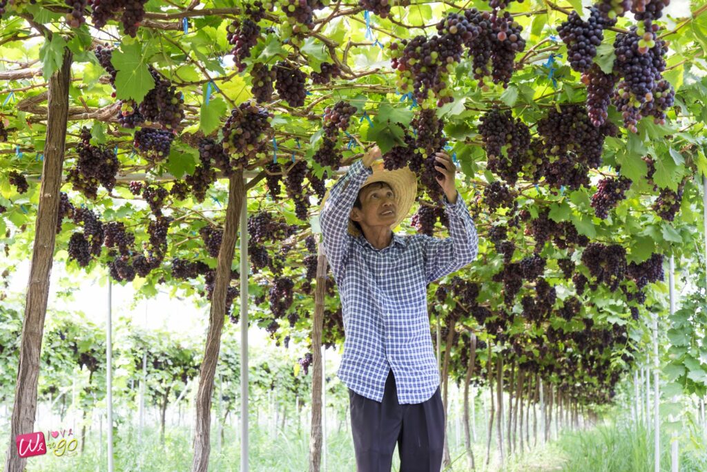 2 Days 1 Night In Prachinburi 89