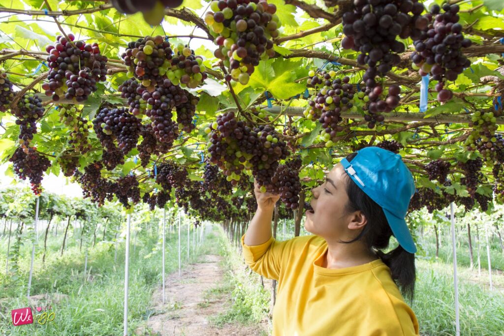 2 Days 1 Night In Prachinburi 90