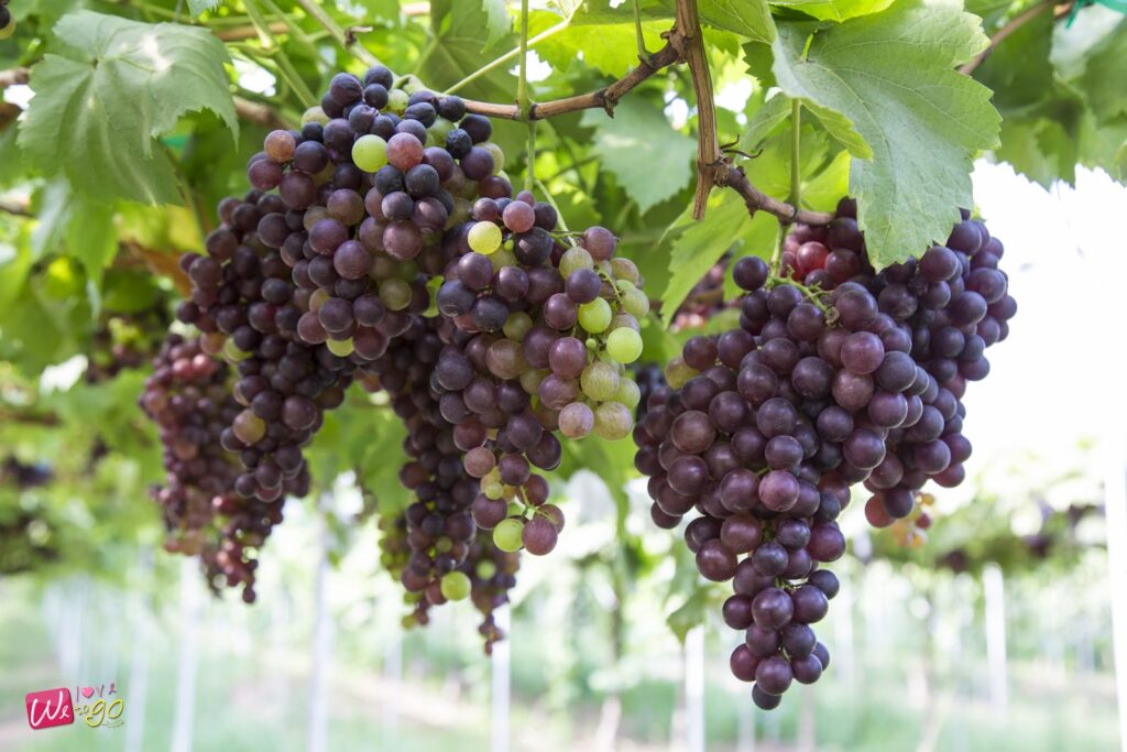 2 Days 1 Night In Prachinburi 91