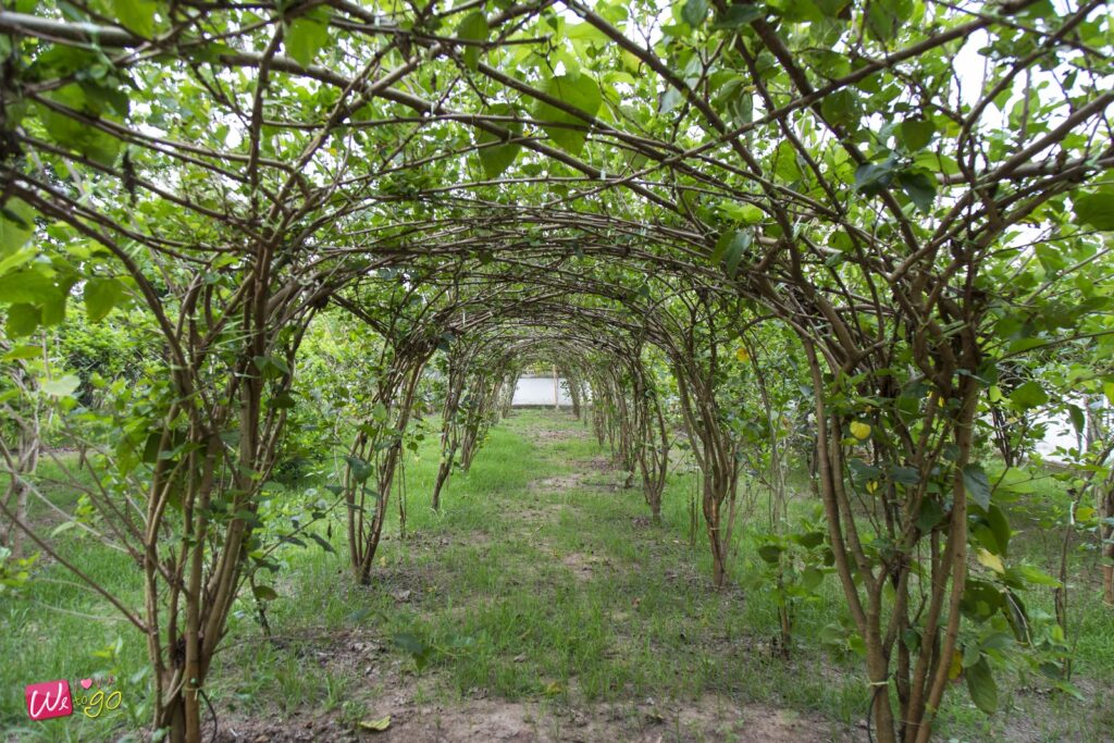 2 Days 1 Night In Prachinburi 92