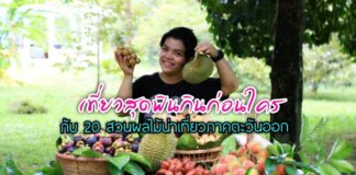 เที่ยวสุดฟิน กินก่อนใคร กับ 20 สวนผลไม้น่าเที่ยวภาคตะวันออก