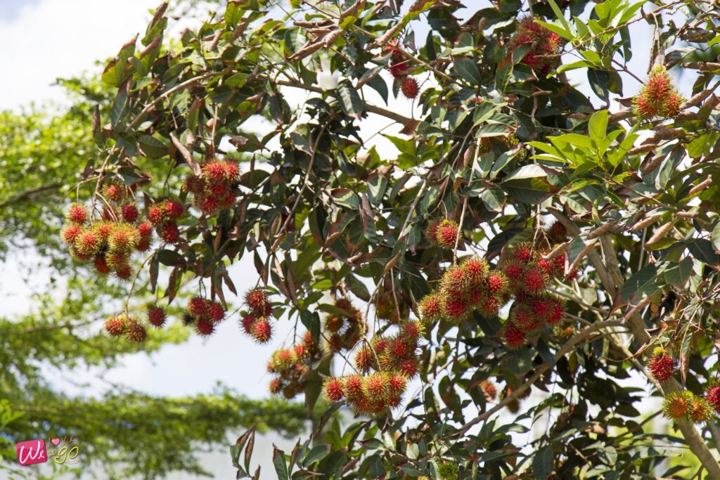 Chanthaburi Route 3 Days 2 Nights 07