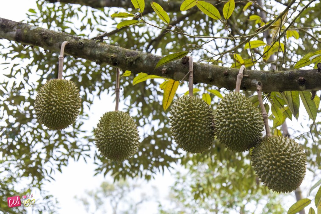 Chanthaburi Route 3 Days 2 Nights 48