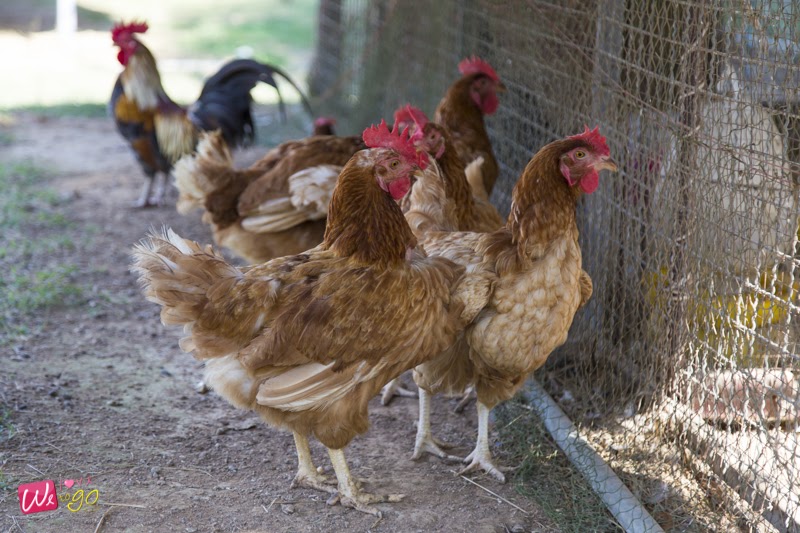 Chonburi And Pattaya Trip16