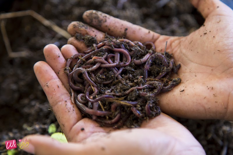 Chonburi And Pattaya Trip20