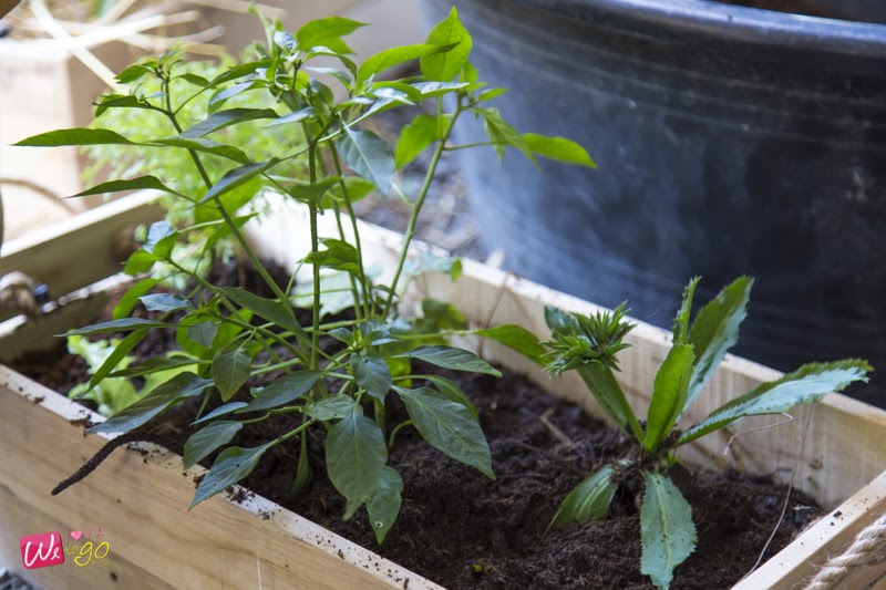 Chonburi And Pattaya Trip21