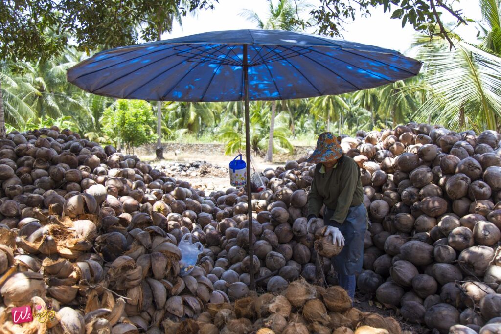 Chonburi Top 14 Checkpoints 25