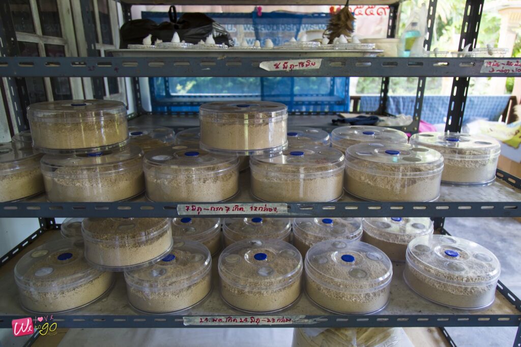 Chonburi Top 14 Checkpoints 28