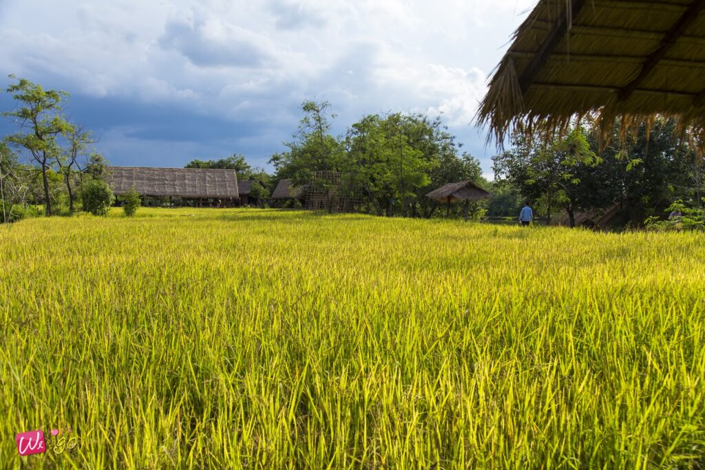 Enjoy Local Life In Sakaeo 26