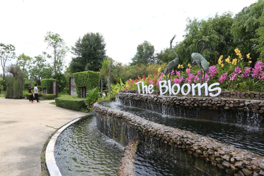 Ratchaburi Top 15 Check Point 26