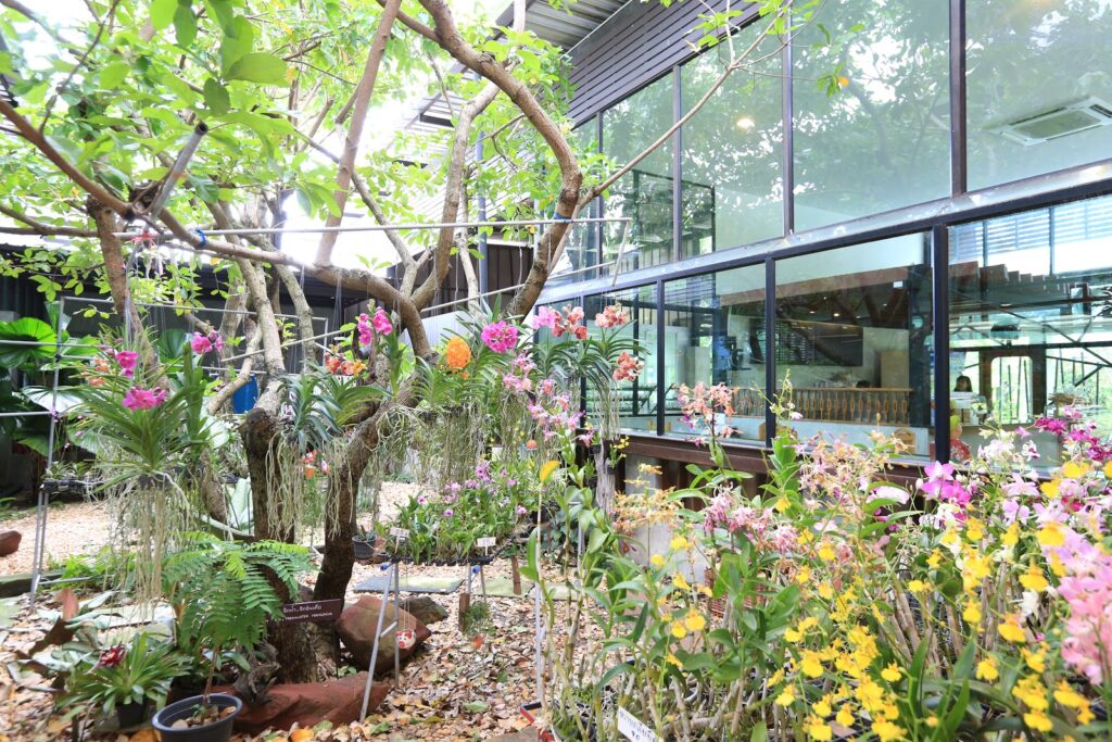 Ratchaburi Top 15 Check Point 29