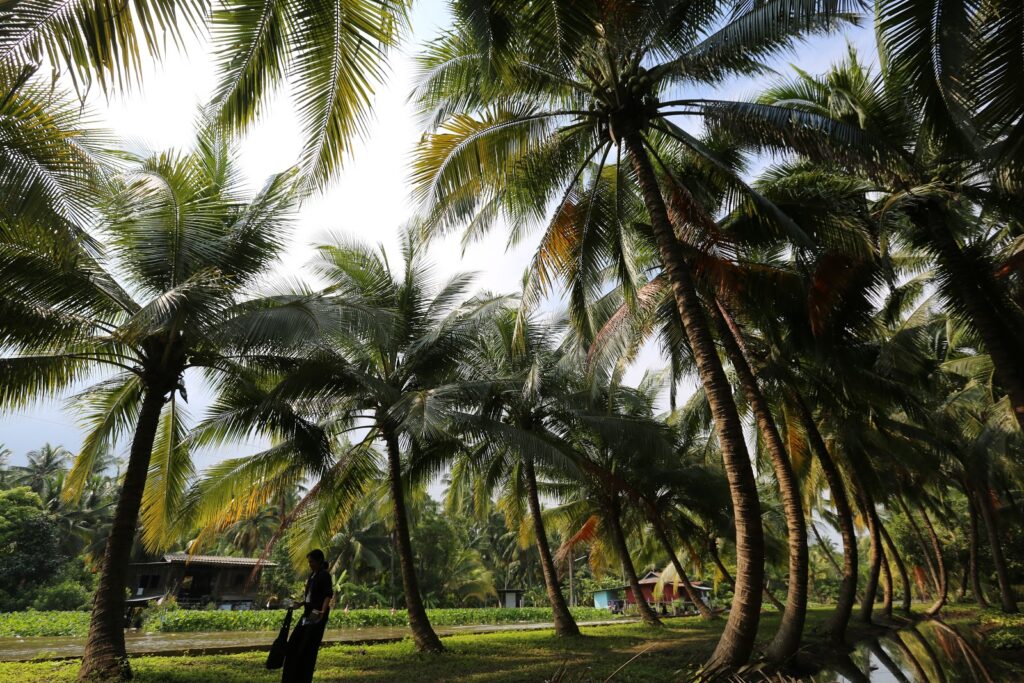 Ratchaburi Top 15 Check Point 33