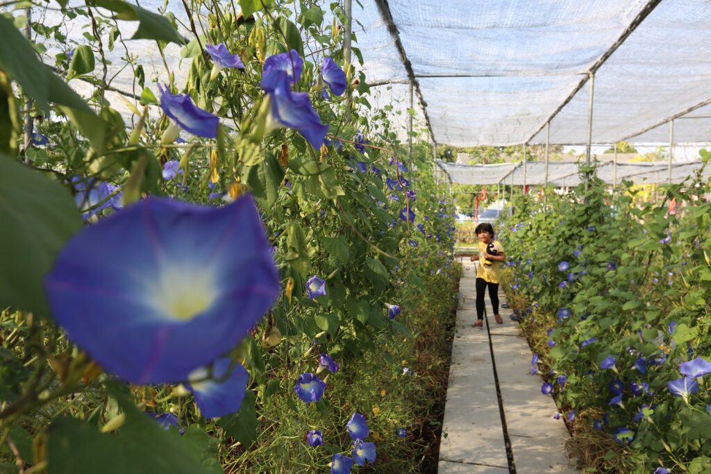 Ratchaburi Top 15 Check Point 53