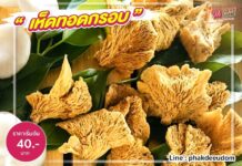 สินค้า OTOP เห็ดทอดกรอบ รับประกันความกรอบอร่อย