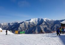 Prince Hotel Naeba อลังการลานสกี แห่ง Niigata