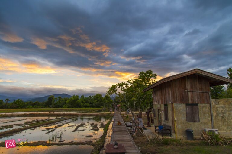 เที่ยวดอยเชียงใหม่หน้าฝน บนเส้นทาง 15 พิกัด ที่สวยอยู่หมัดจริงๆ