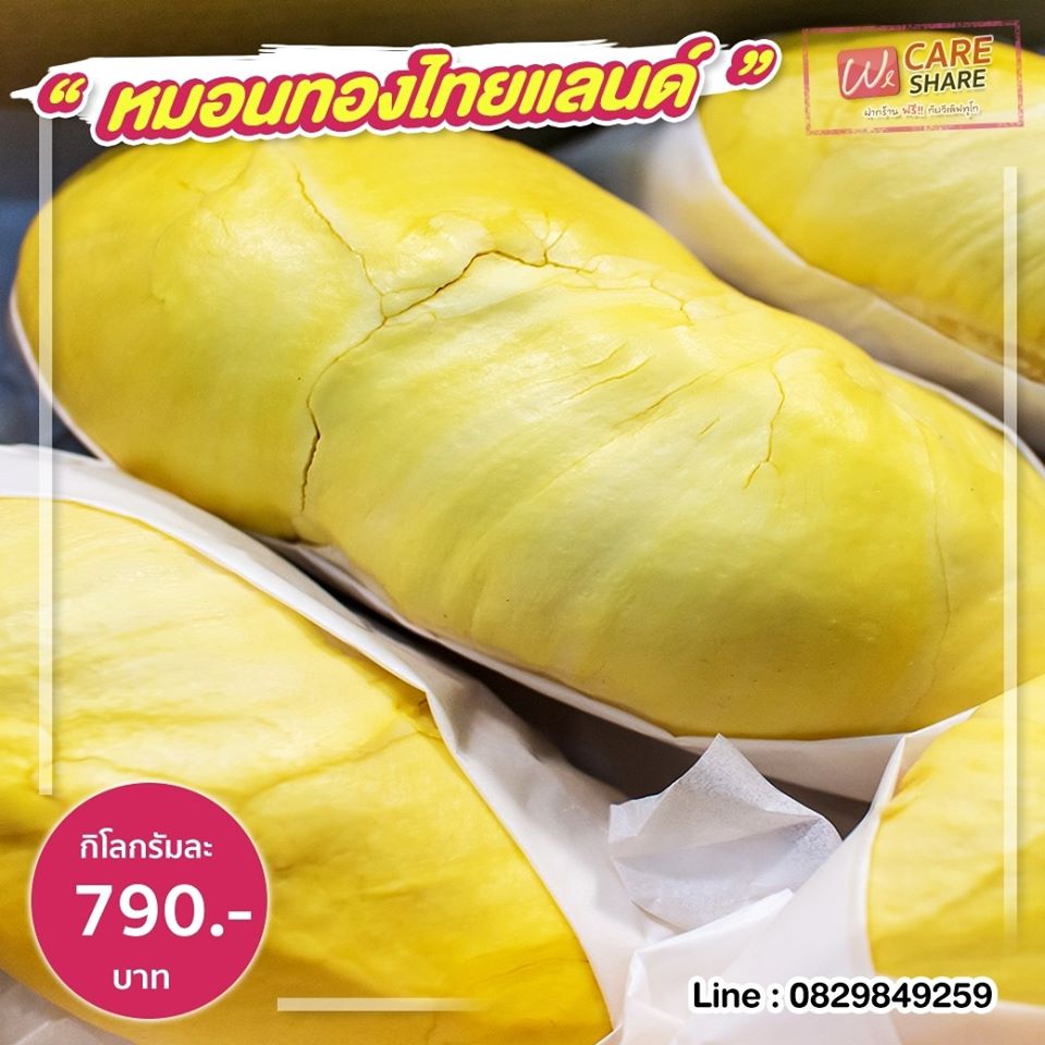 96143224 1608688572612961 2043023669629812736 O