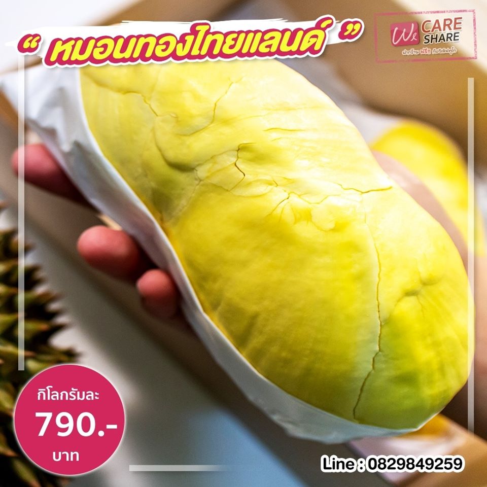 96243967 1608688489279636 7814865008512204800 O