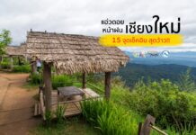 รวม 15 จุดเช็คอินสุดว้าว!! แอ่วดอยหน้าฝน เชียงใหม่