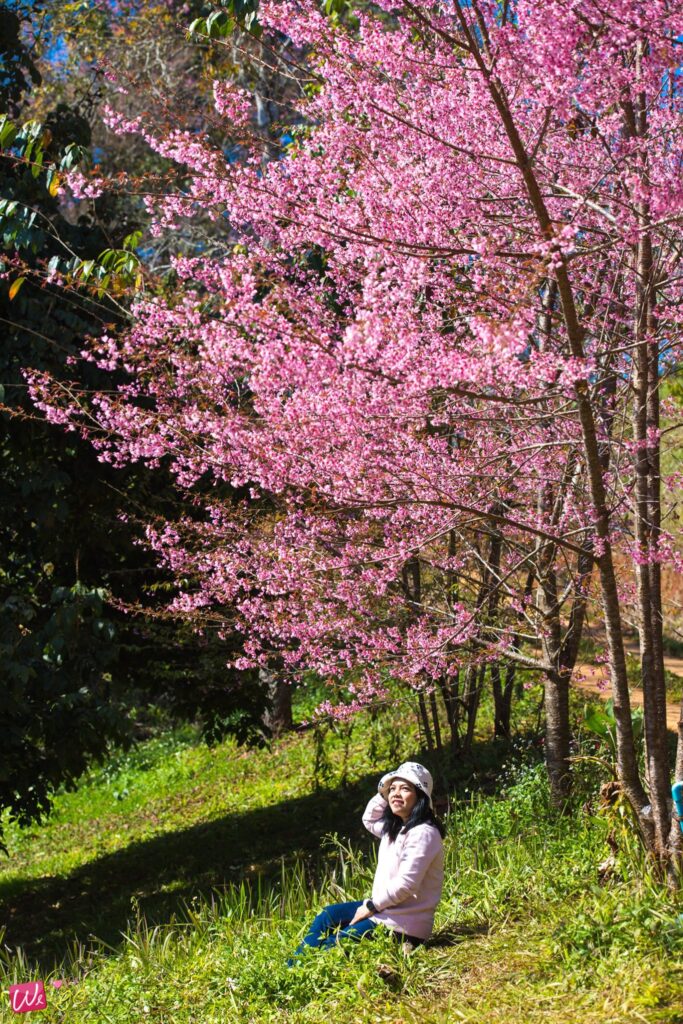 137278712 1834112470070569 4204033545649364450 O