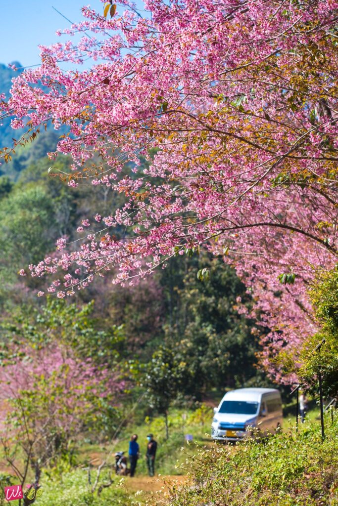 137569616 1834112966737186 4139174151955685970 O