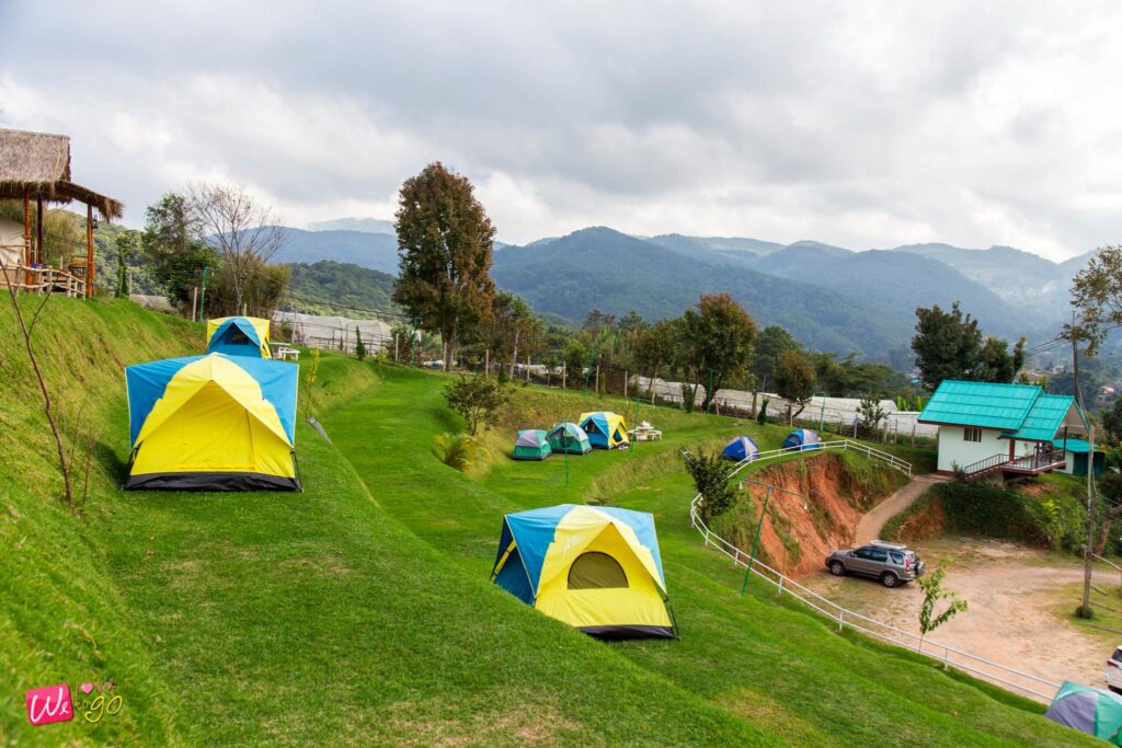 123140192 1774534626028354 6899831562056194419 O