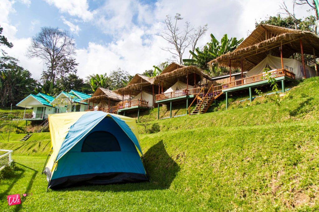 123162504 1774536842694799 8780936674981430397 O