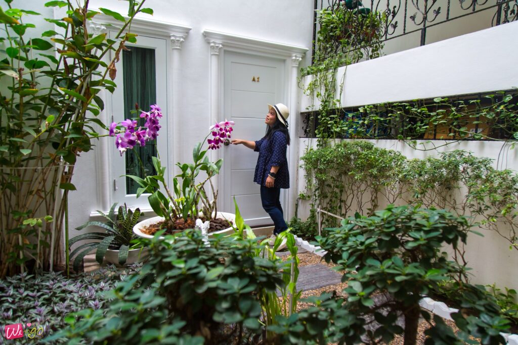 131466967 1813037902178026 6368842644771603487 O 1