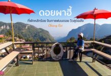 ดอยผาฮี้ ที่พักหลักร้อย จิบกาแฟบนดอย @เชียงราย