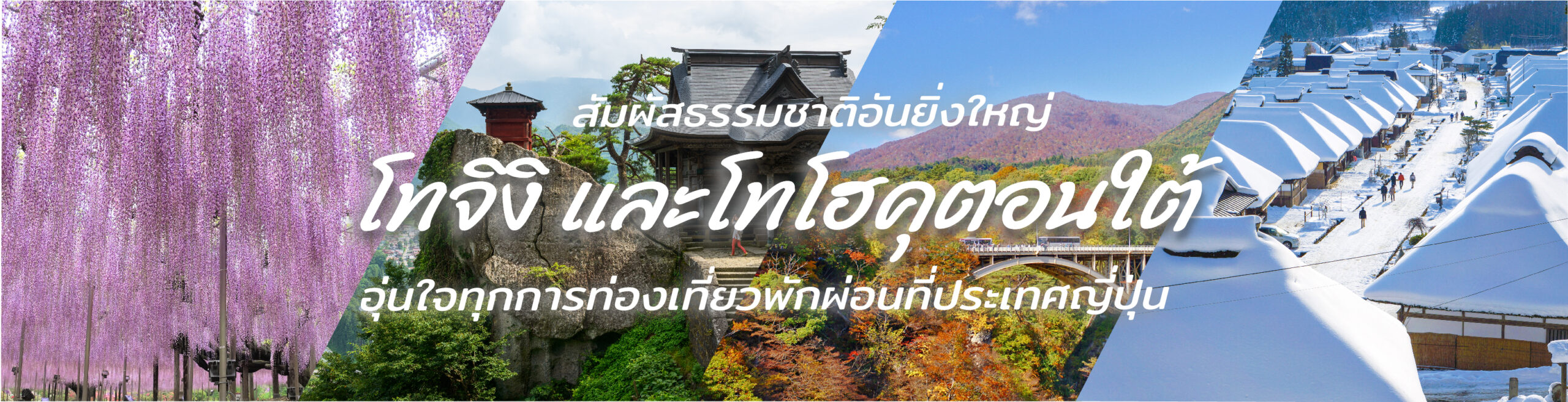 Tochigi And South Tohoku Banner Design1 Scaled