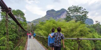 ภูเขารูปหัวใจ สุราษฎร์ธานี สะพานแขวนเขาพัง สถานที่ท่องเที่ยวทางธรรมชาติ ภูเขารูปหัวใจ สุราษฎร์ธานี